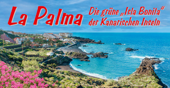 La Palme_Titelbild (Link)